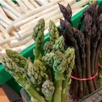 ​Asparagus (Spargel) isn't just a veggie in Germany—it's a springtime obsession! From white to green to purple, Oma's guide makes cooking it easy and wunderbar