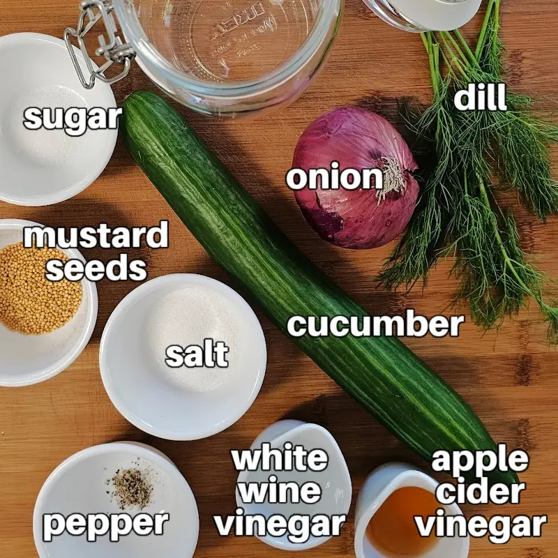 Labeled ingredients for German refrigerator pickles, including cucumber, red onion, dill, mustard seeds, and vinegars