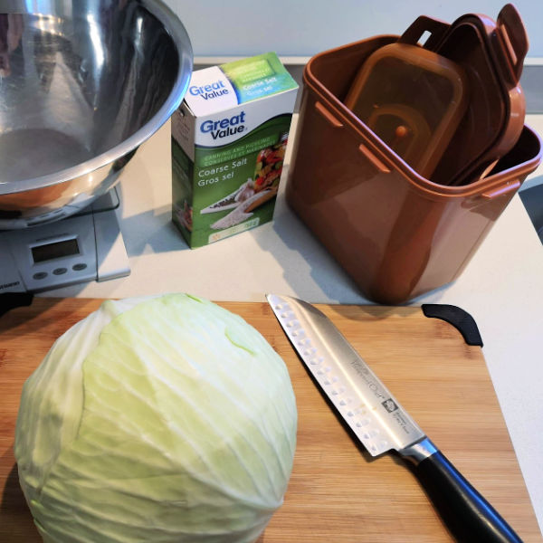 Getting ready to make homemade sauerkraut Getting ready to make homemade sauerkraut