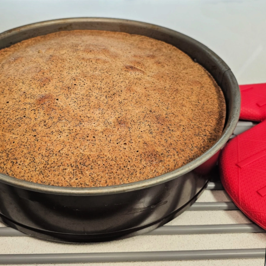 poppy seed cake cooling before serving