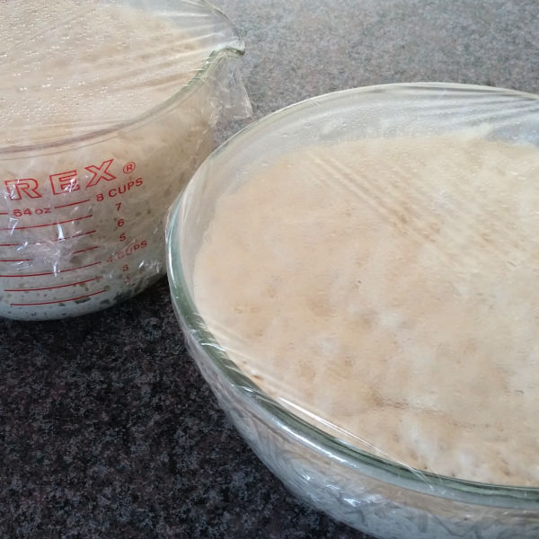 Cover the dough and let it rise at room temperature until it looks like this Cover the dough and let it rise at room temperature until it looks like this