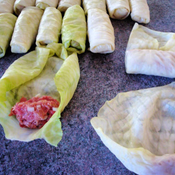 stuffing German cabbage rolls