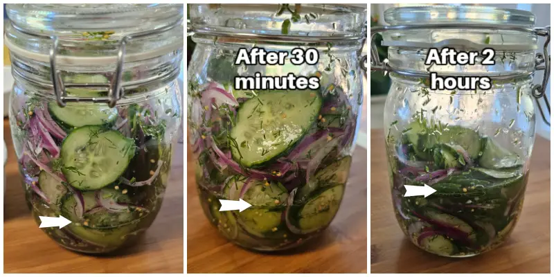 Three photos showing the liquid increasing around German refrigerator pickles over 2 hours