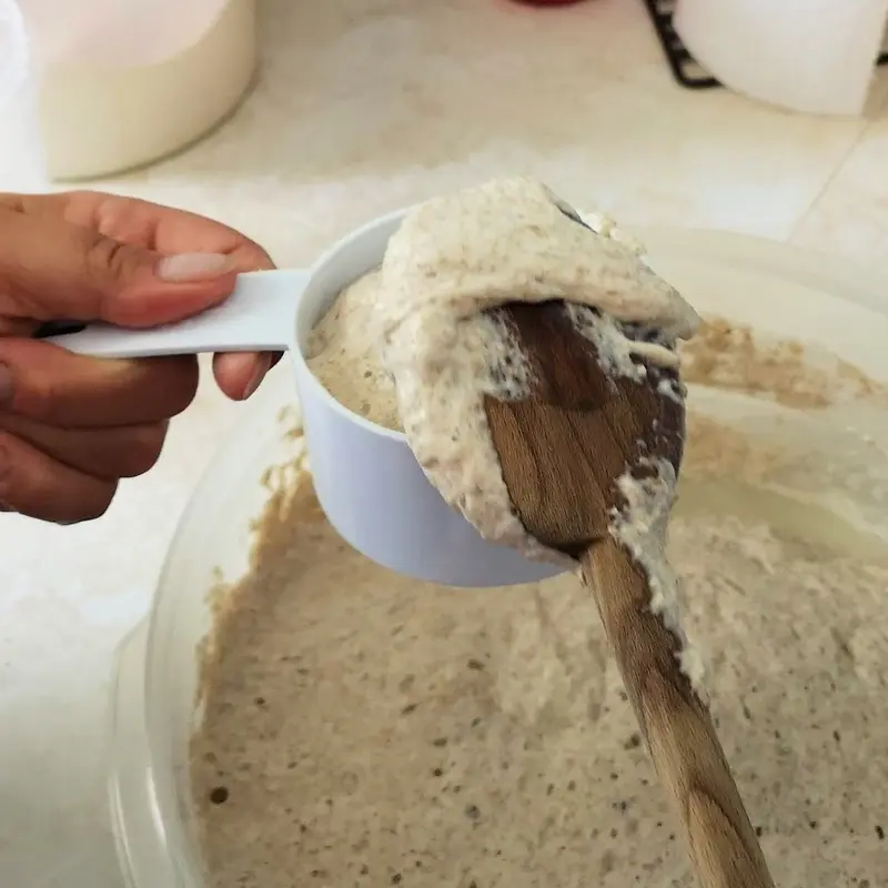 Remove Cup Of Starter Remove Cup Of Starter