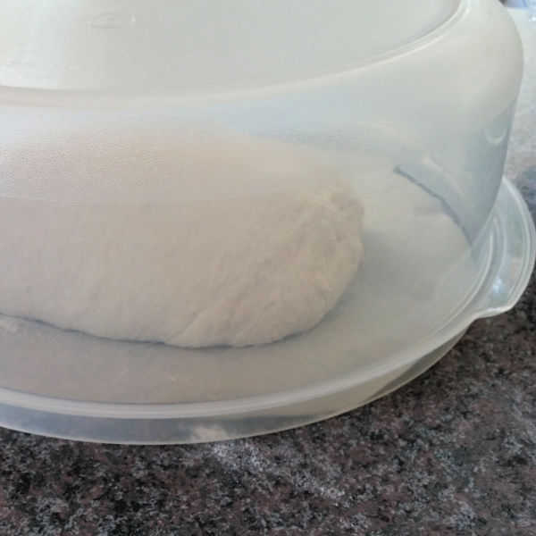 Cover and let rise while you preheat your oven Cover and let rise while you preheat your oven