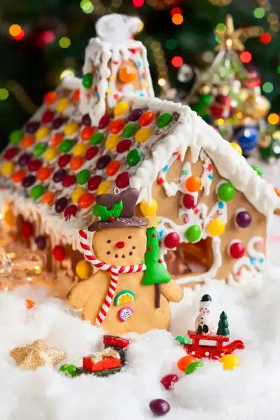 German Gingerbread House Idea #6