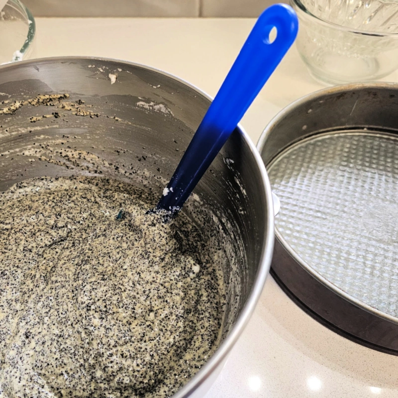 Ready to add batter to springform pan