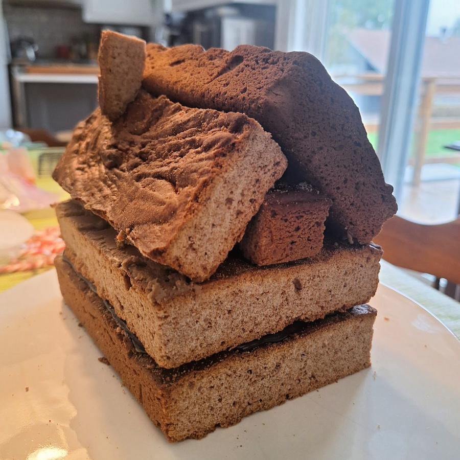 Gingerbread house is built and ready to ice