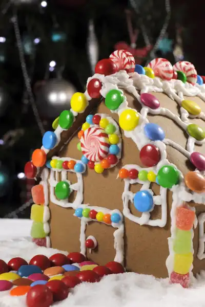 German Gingerbread House Idea #8