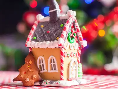 German Gingerbread House Idea #9