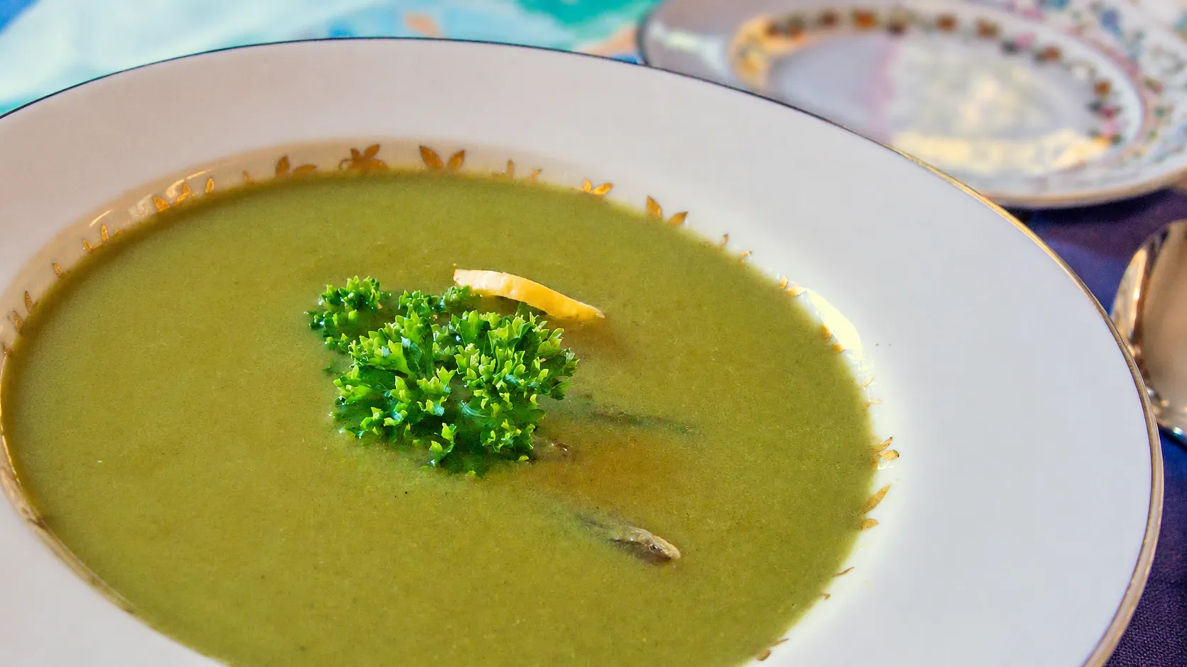 Oma's Asparagus Soup recipe is a great spring-time treat. Easy to make, delicious to eat!