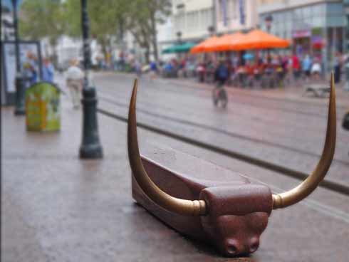 Bull bench in Freiburg