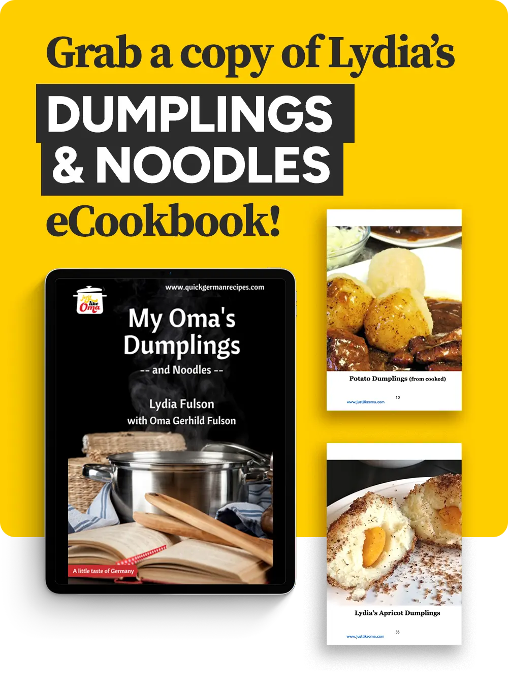 My Oma's Dumplings and Noodles - eCookBook