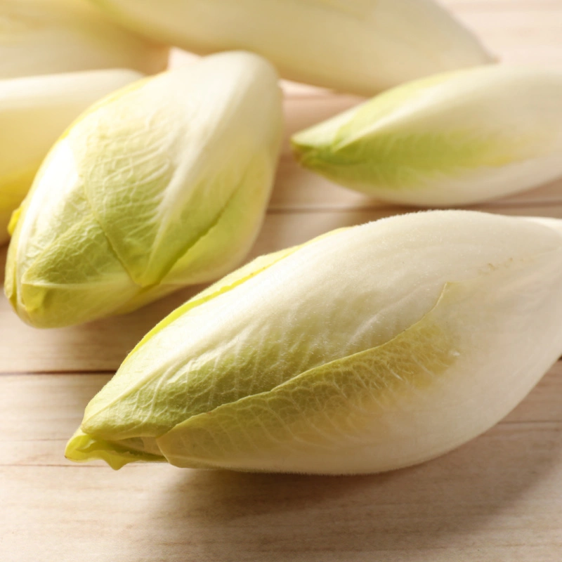 Belgian Endives ready to be used