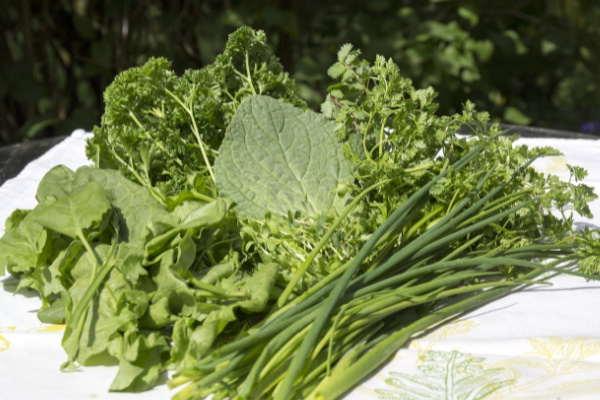 Traditional herbs for Frankfurter Green Sauce available to purchase in Germany