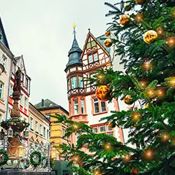 Explore festive recipes and customs from German holidays