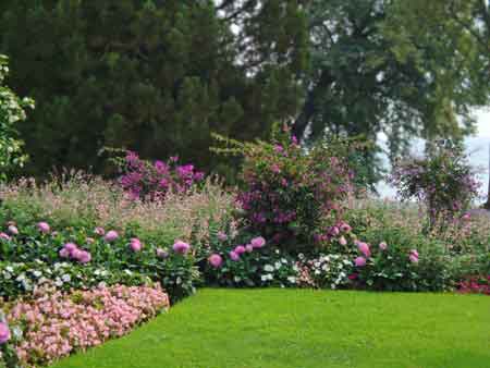 gardens at mainau
