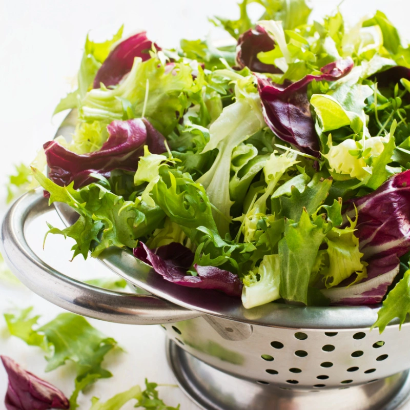 A mix of chicory, endive, and lettuces