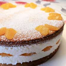 Yogurt Mousse Cake (Käse-Sahne Torte)