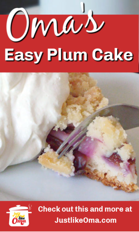 Yummy Plum Streusel Cake made without yeast. So easy and so lecker, made just like Oma.