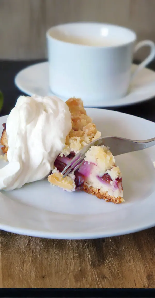 Slice of delicious German plum cake