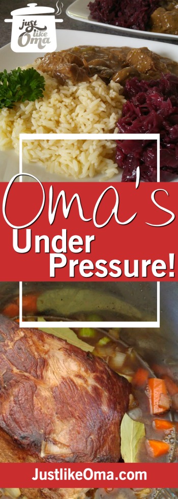 Check out these Instant Pot Pressure Cooker recipes