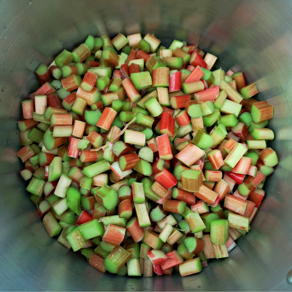 Heidi's German Rhubarb Pudding recipe is a fun one to make!