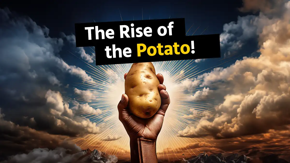 Rise of the Potato in Germany