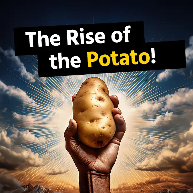 Rise of the Potato in Germany