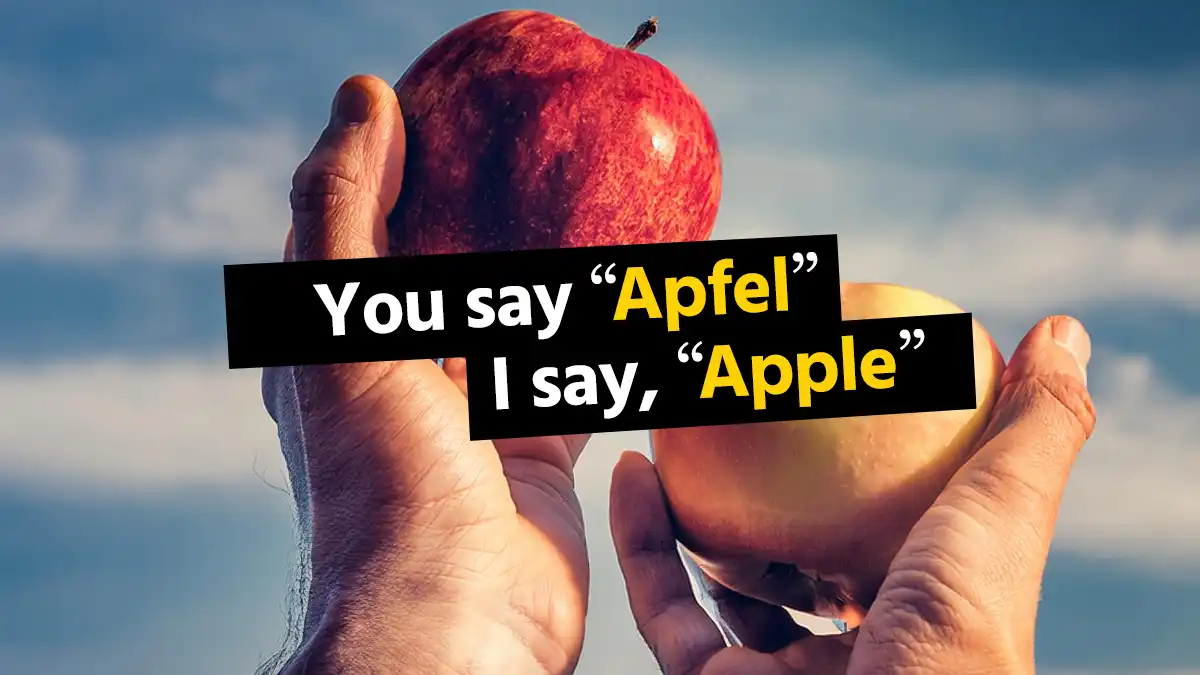 German to English words