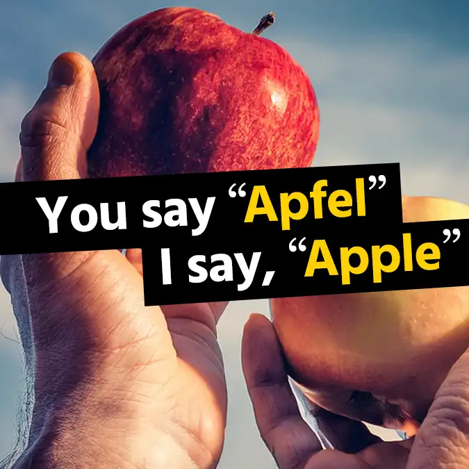 German to English words