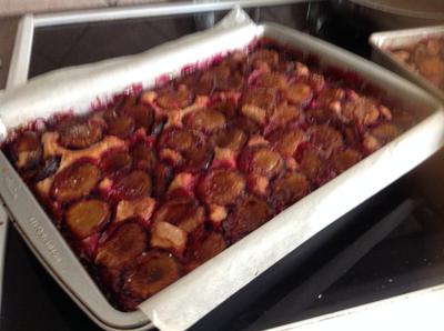 Sour Cream Plum Kuchen