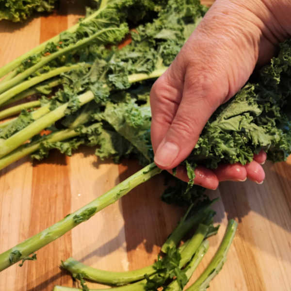 Strip kale from stalks to make Oma's Kale and Potato Recipe ~ Grünkohl mit Kartoffeln, made the easy way, all in one pot. Similar to Grünkohl mit Pinkel! Strip kale from stalks to make Oma's Kale and Potato Recipe ~ Grünkohl mit Kartoffeln, made the easy way, all in one pot. Similar to Grünkohl mit Pinkel!