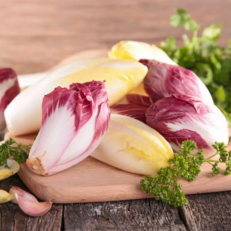 Fresh Belgian Endive and Radicchio on a cutting board