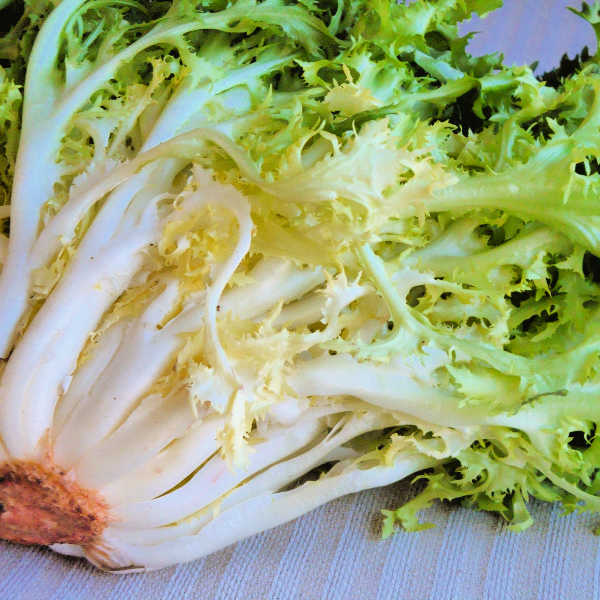 Endive with mashed potatoes.