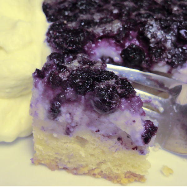 This blueberry fruit tart is based on the German Obsttorte.